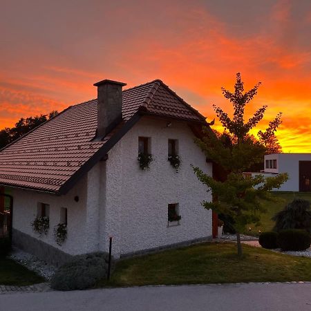 Holiday Home Dobrotin Vojnik Bagian luar foto