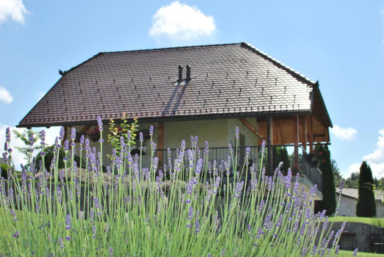 Holiday Home Dobrotin Vojnik Bagian luar foto