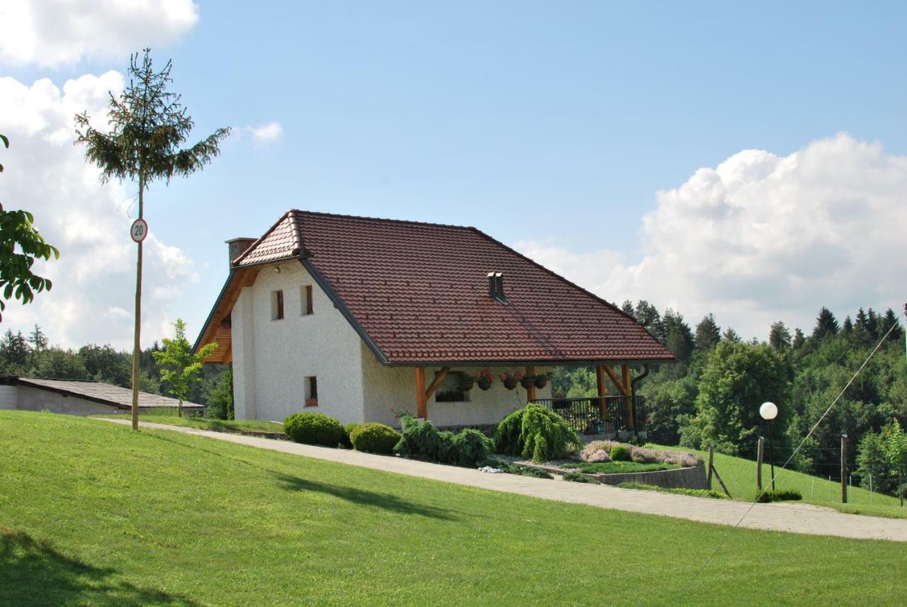 Holiday Home Dobrotin Vojnik Bagian luar foto